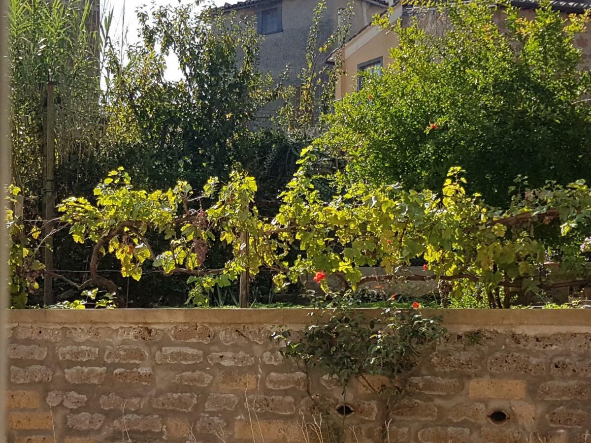 Fidanza House Apartamento Bagnoregio Exterior foto
